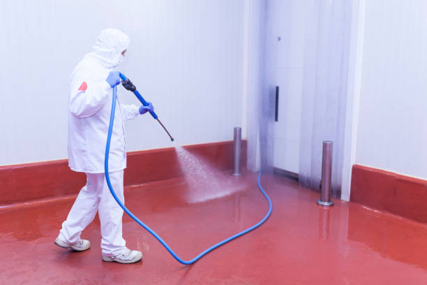 Best Dumpster Area Cleaning  in Borger, TX